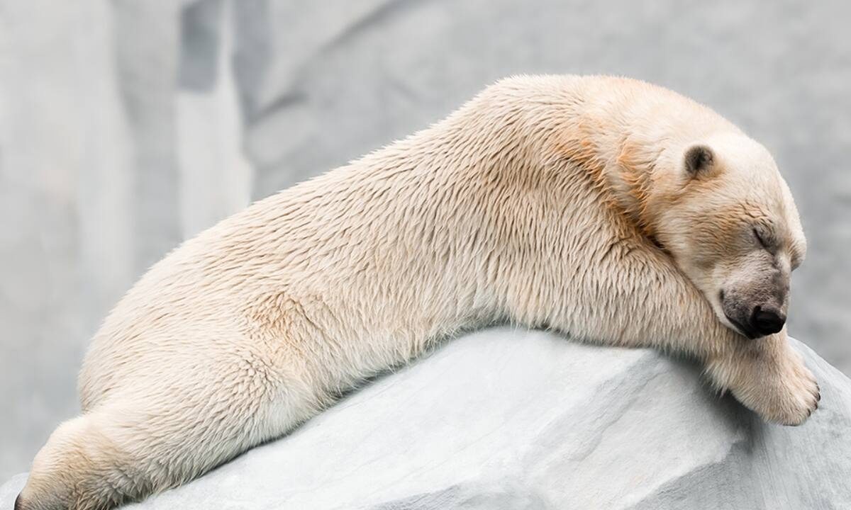 Διάβασε ΔΩΡΕΑΝ την προσωπική σου πρόβλεψη, για σήμερα 02/02/2022