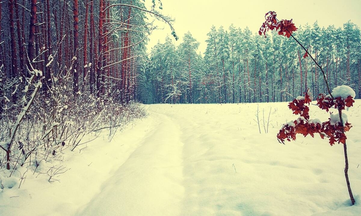 Διάβασε ΔΩΡΕΑΝ την προσωπική σου πρόβλεψη, για σήμερα 03/02/2022