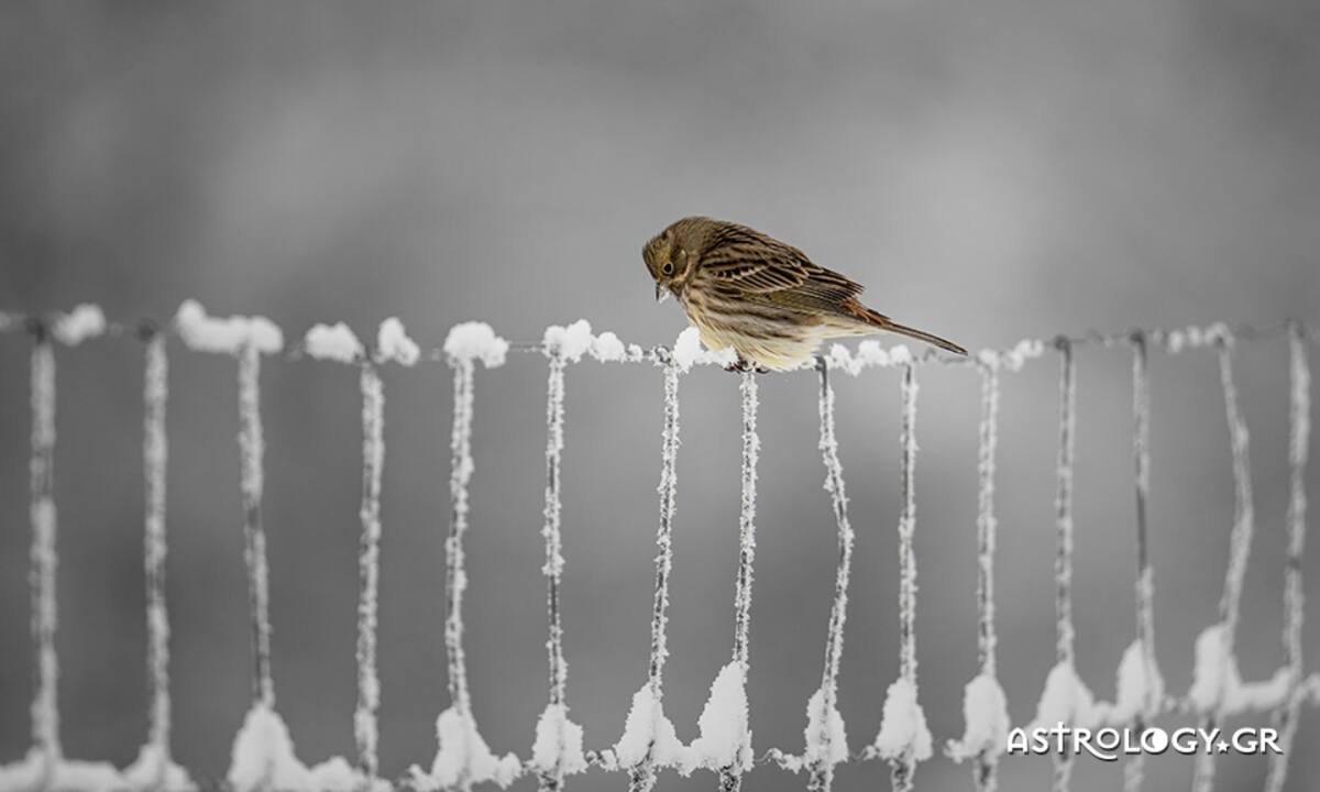 Διάβασε ΔΩΡΕΑΝ την προσωπική σου πρόβλεψη, για σήμερα 06/02/2022