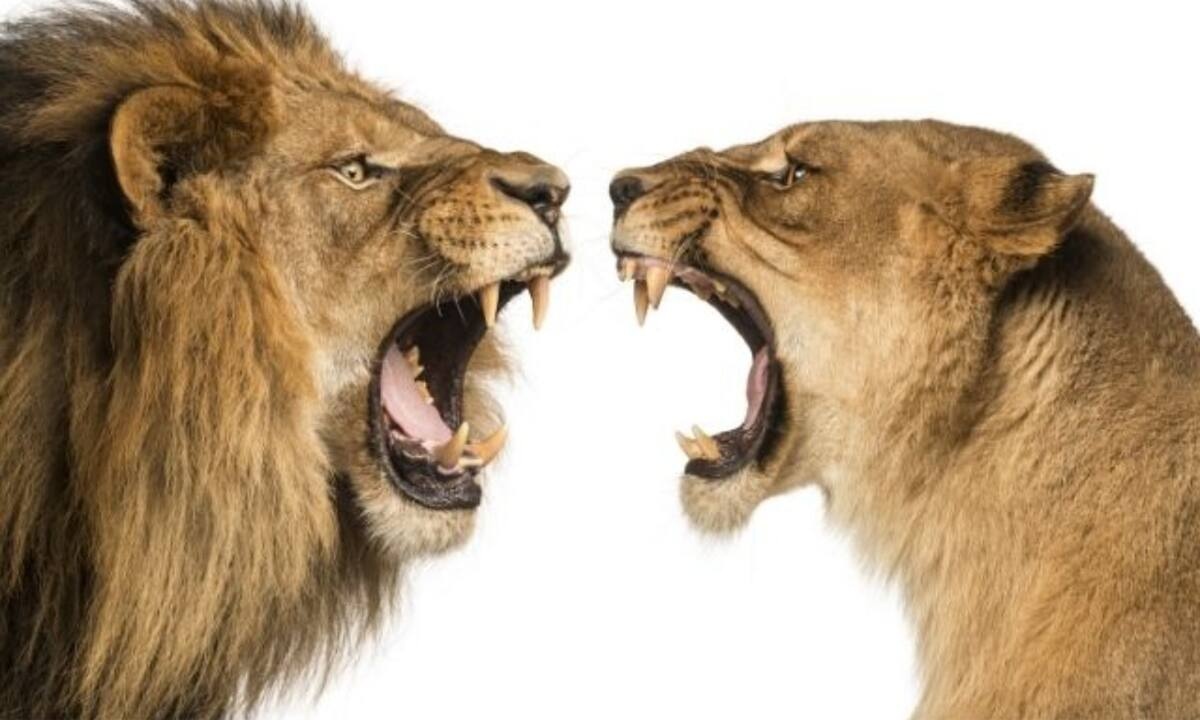 Τα ΤΟΠ 3 πιο προκλητικά ζώδια