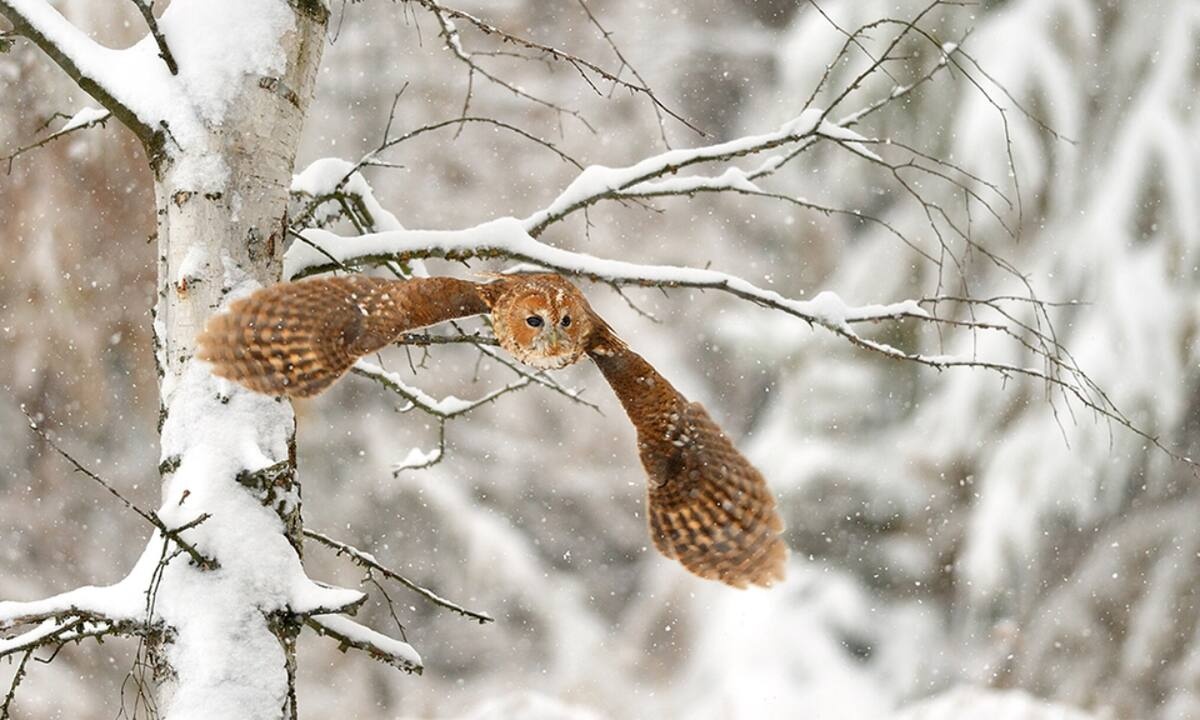 Διάβασε ΔΩΡΕΑΝ την προσωπική σου πρόβλεψη, για σήμερα 12/02/2022