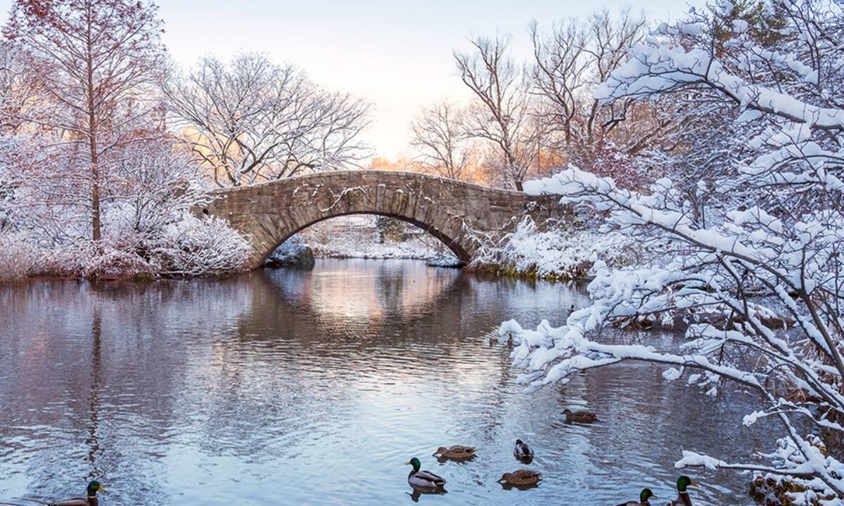 Διάβασε ΔΩΡΕΑΝ την προσωπική σου πρόβλεψη, για σήμερα 17/02/2022