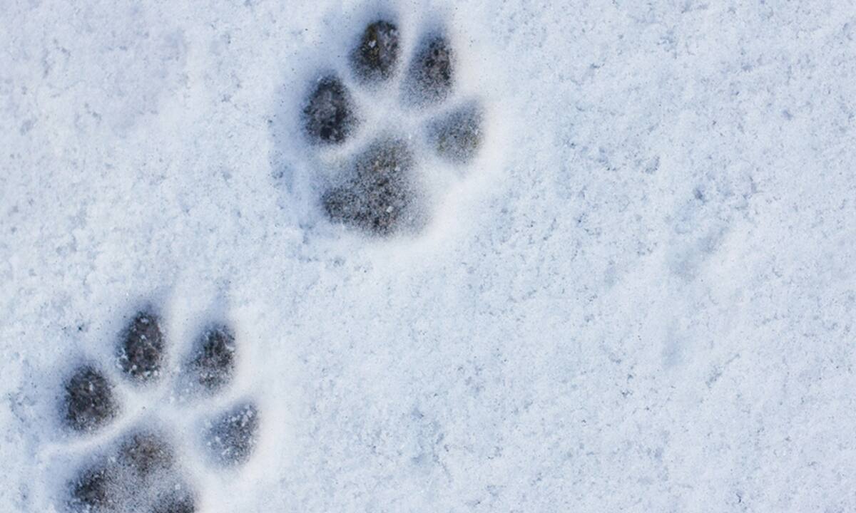 Διάβασε ΔΩΡΕΑΝ την προσωπική σου πρόβλεψη, για σήμερα 20/02/2022