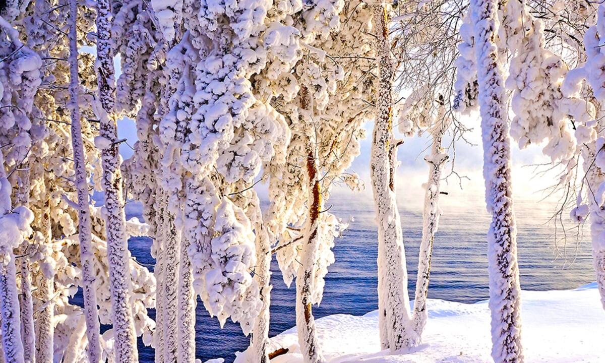 Διάβασε ΔΩΡΕΑΝ την προσωπική σου πρόβλεψη, για σήμερα 21/02/2022