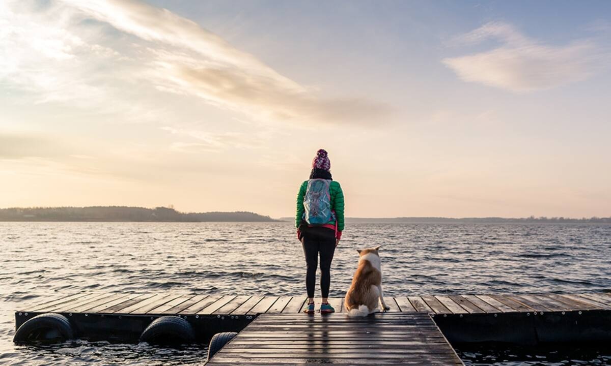 Ημερήσιες Προβλέψεις για όλα τα Ζώδια, 26/02