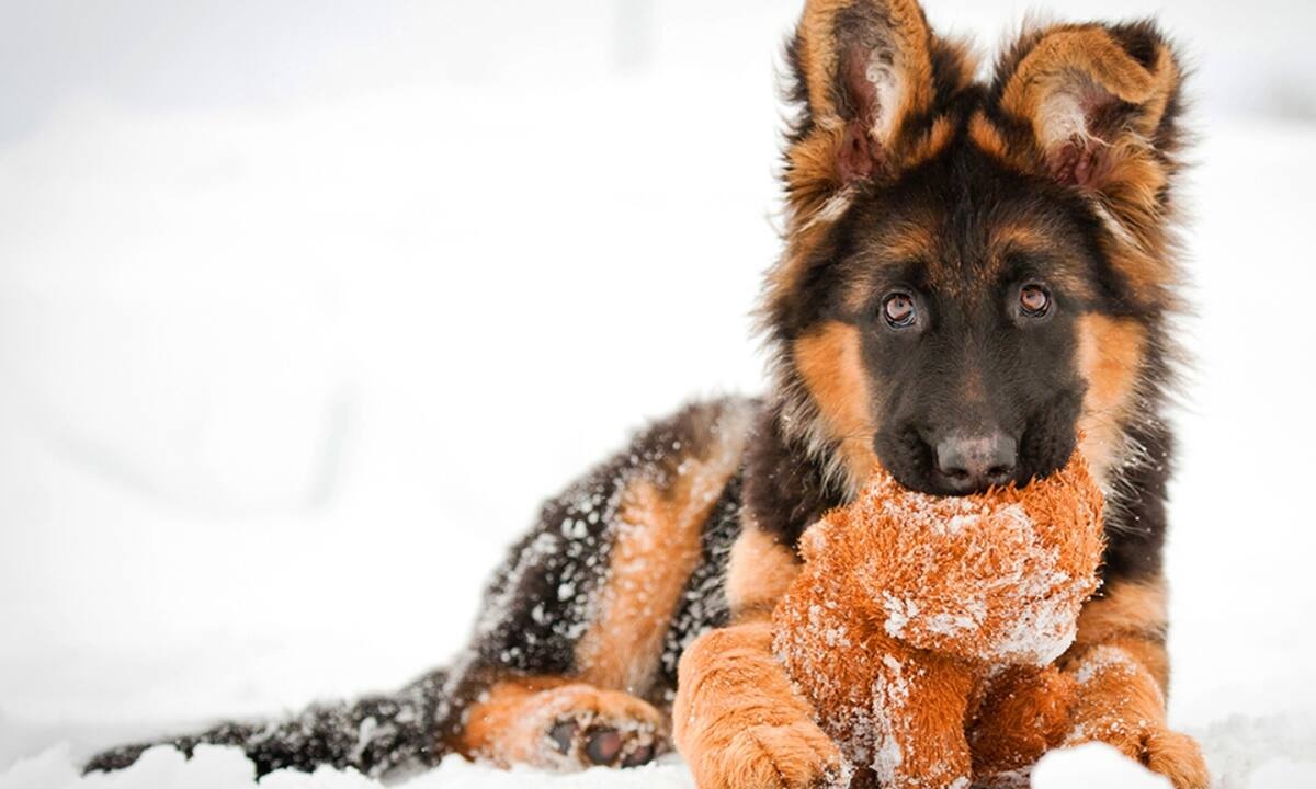 Διάβασε ΔΩΡΕΑΝ την προσωπική σου πρόβλεψη, για σήμερα 25/02/2022