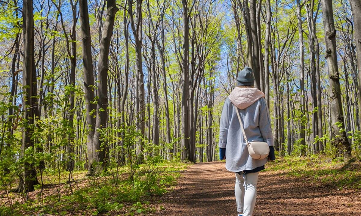 Ημερήσιες Προβλέψεις για όλα τα Ζώδια, 28/02