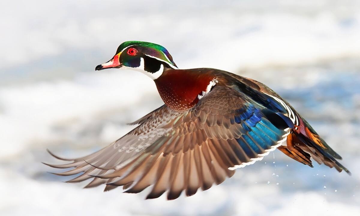 Διάβασε ΔΩΡΕΑΝ την προσωπική σου πρόβλεψη, για σήμερα 28/02/2022