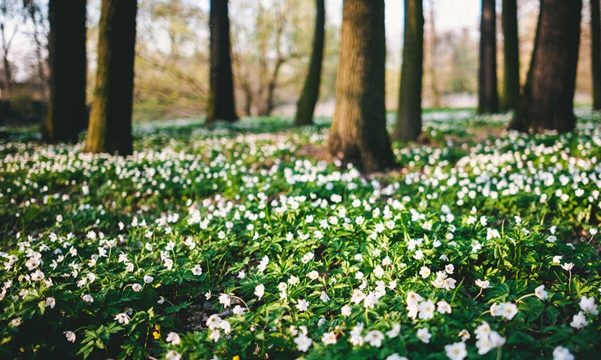 Διάβασε ΔΩΡΕΑΝ την προσωπική σου πρόβλεψη, για σήμερα 07/03/2022