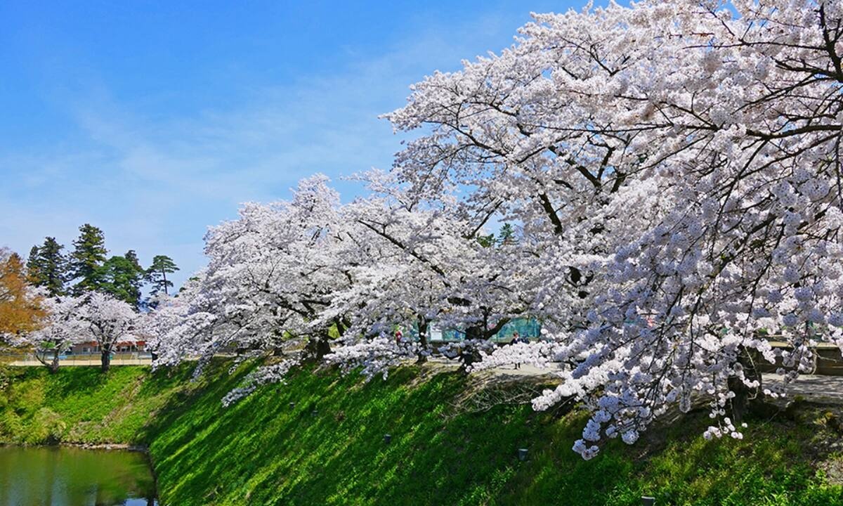 Διάβασε ΔΩΡΕΑΝ την προσωπική σου πρόβλεψη, για σήμερα 09/03/2022