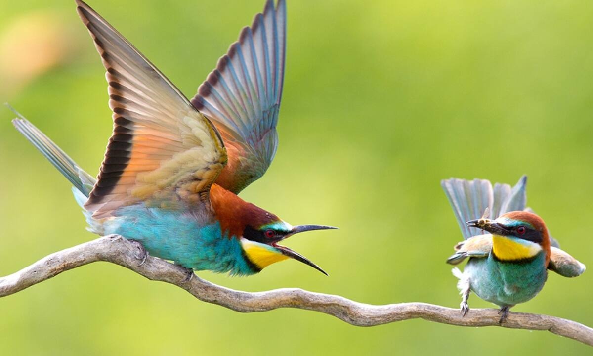 Διάβασε ΔΩΡΕΑΝ την προσωπική σου πρόβλεψη, για σήμερα 12/03/2022