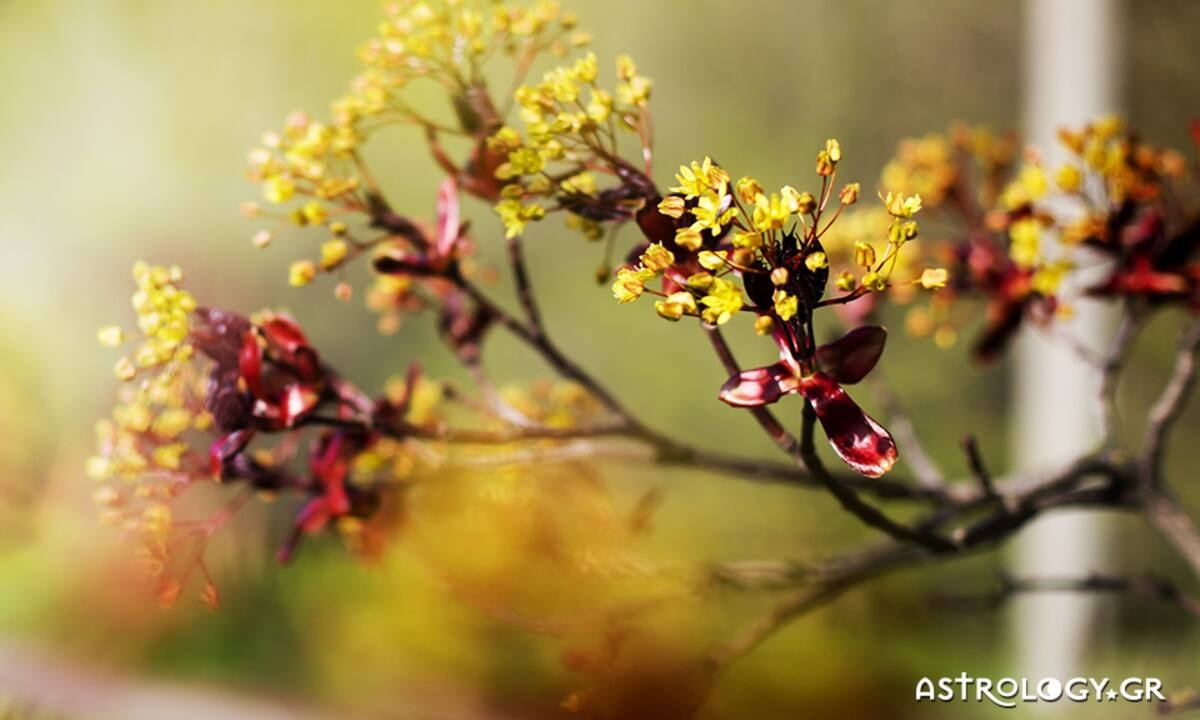 Διάβασε ΔΩΡΕΑΝ την προσωπική σου πρόβλεψη, για σήμερα 13/03/2022