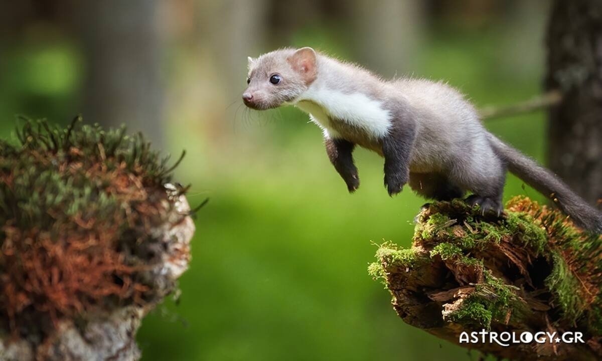 Διάβασε ΔΩΡΕΑΝ την προσωπική σου πρόβλεψη, για σήμερα 14/03/2022