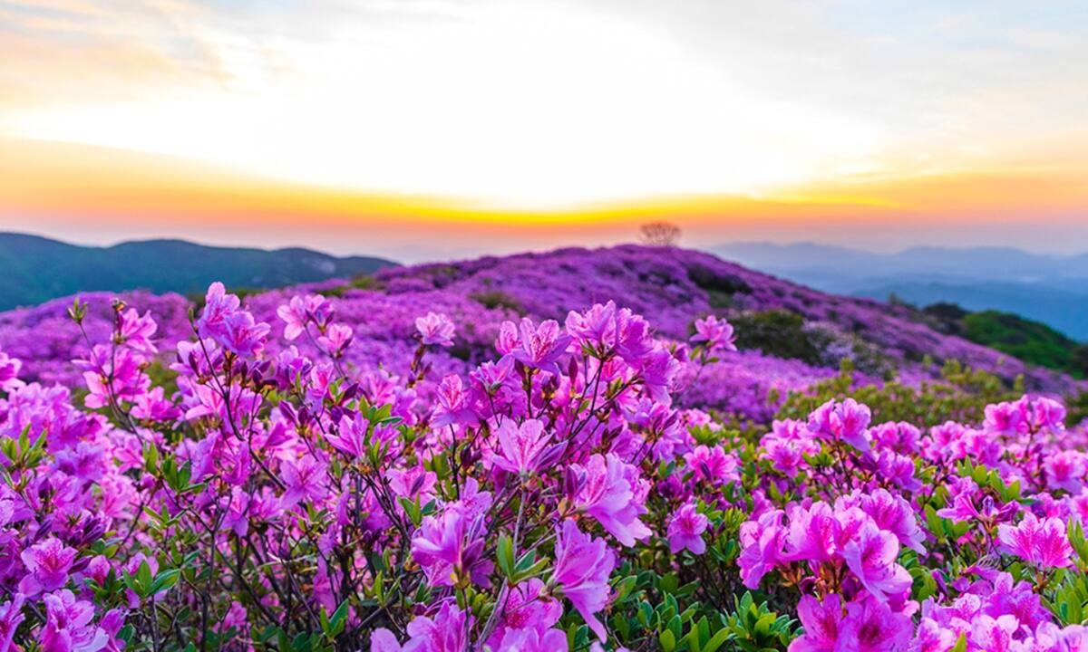 Διάβασε ΔΩΡΕΑΝ την προσωπική σου πρόβλεψη, για σήμερα 19/03/2022