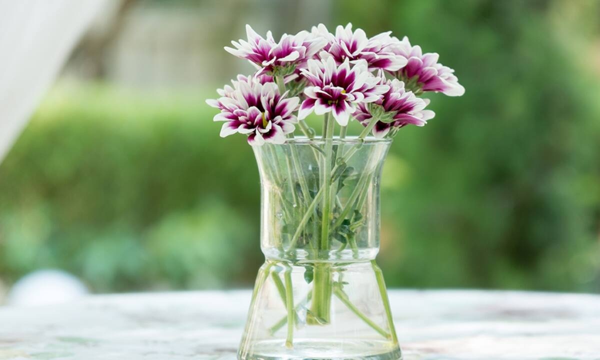 Ημερήσιες Προβλέψεις για όλα τα Ζώδια, 11/03