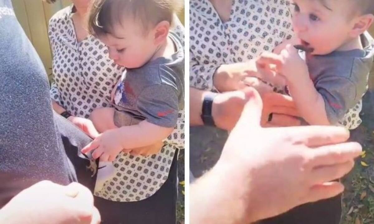 Απίστευτος ο μπόμπιρας! Άρπαξε το σαυράκι και πήγε να το βάλει στο στόμα