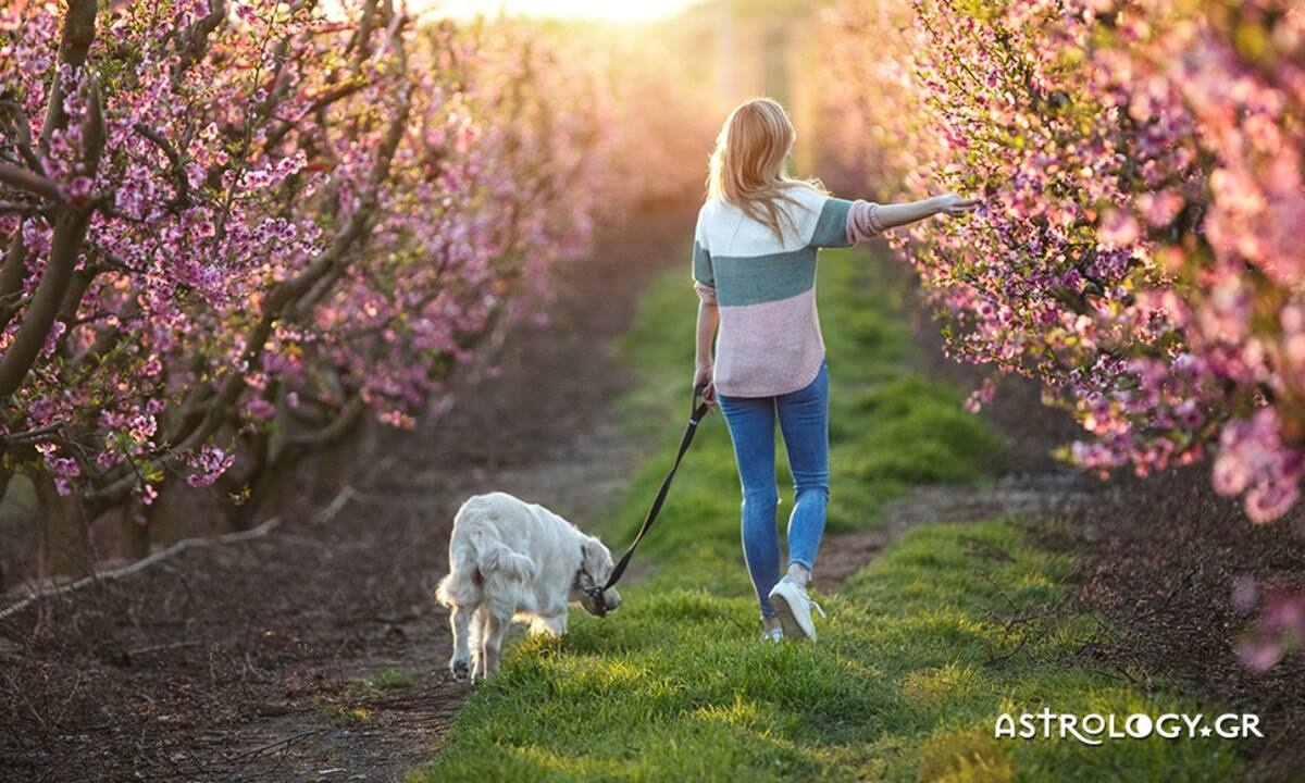 Ημερήσιες Προβλέψεις για όλα τα Ζώδια, 23/03