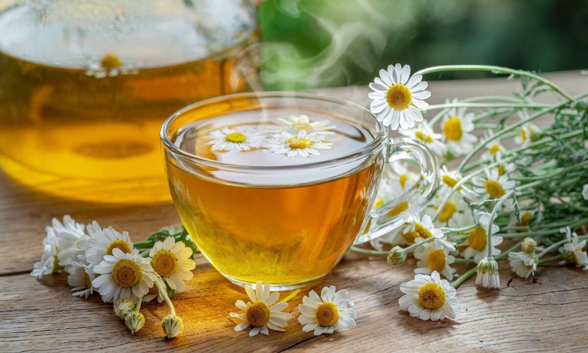 Χαμομήλι κάθε βράδυ πριν τον ύπνο: Τα οφέλη για την υγεία (video)