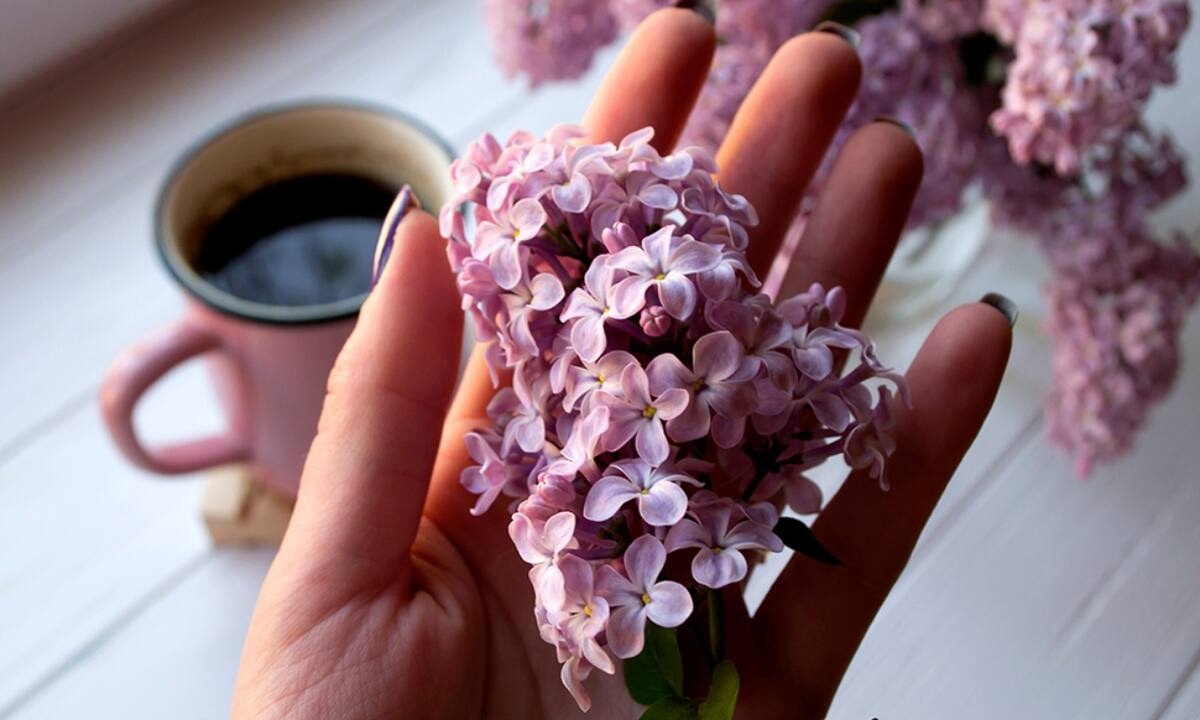 Ημερήσιες Προβλέψεις για όλα τα Ζώδια, 25/03