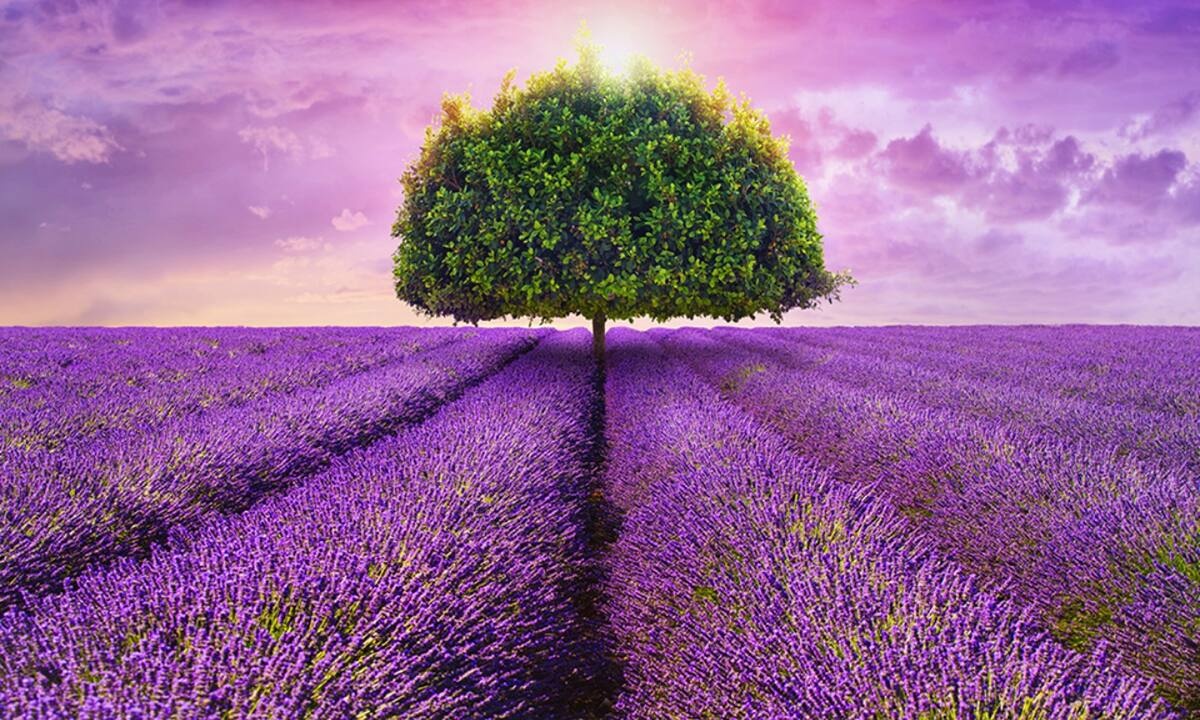 Διάβασε ΔΩΡΕΑΝ την προσωπική σου πρόβλεψη, για σήμερα 23/03/2022