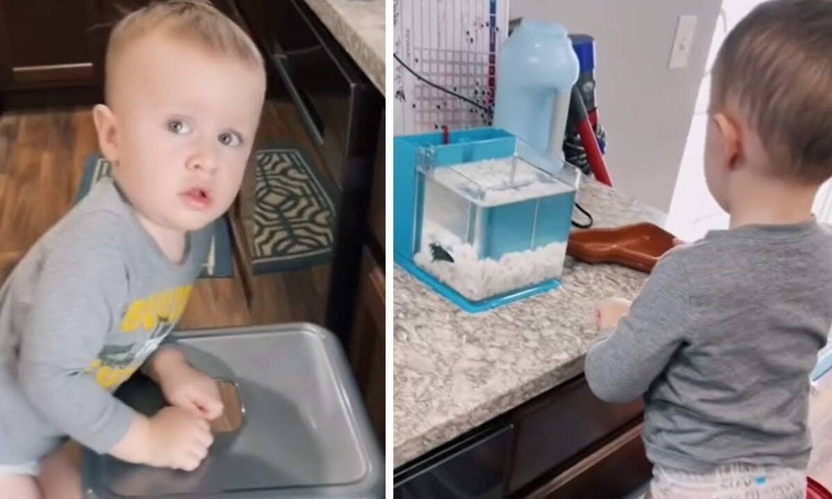 Αγοράκι έβγαλε το ψάρι από τη γυάλα για να πάρει έναν ...υπνάκο