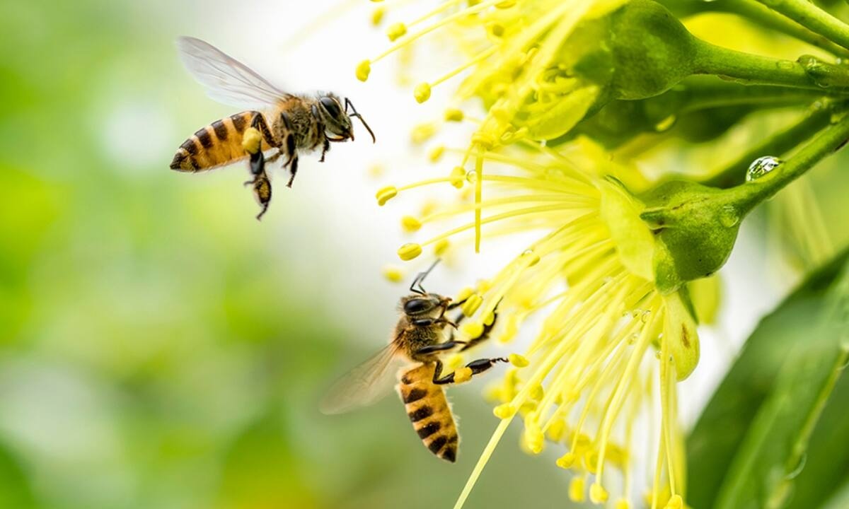 Διάβασε ΔΩΡΕΑΝ την προσωπική σου πρόβλεψη, για σήμερα 26/03/2022