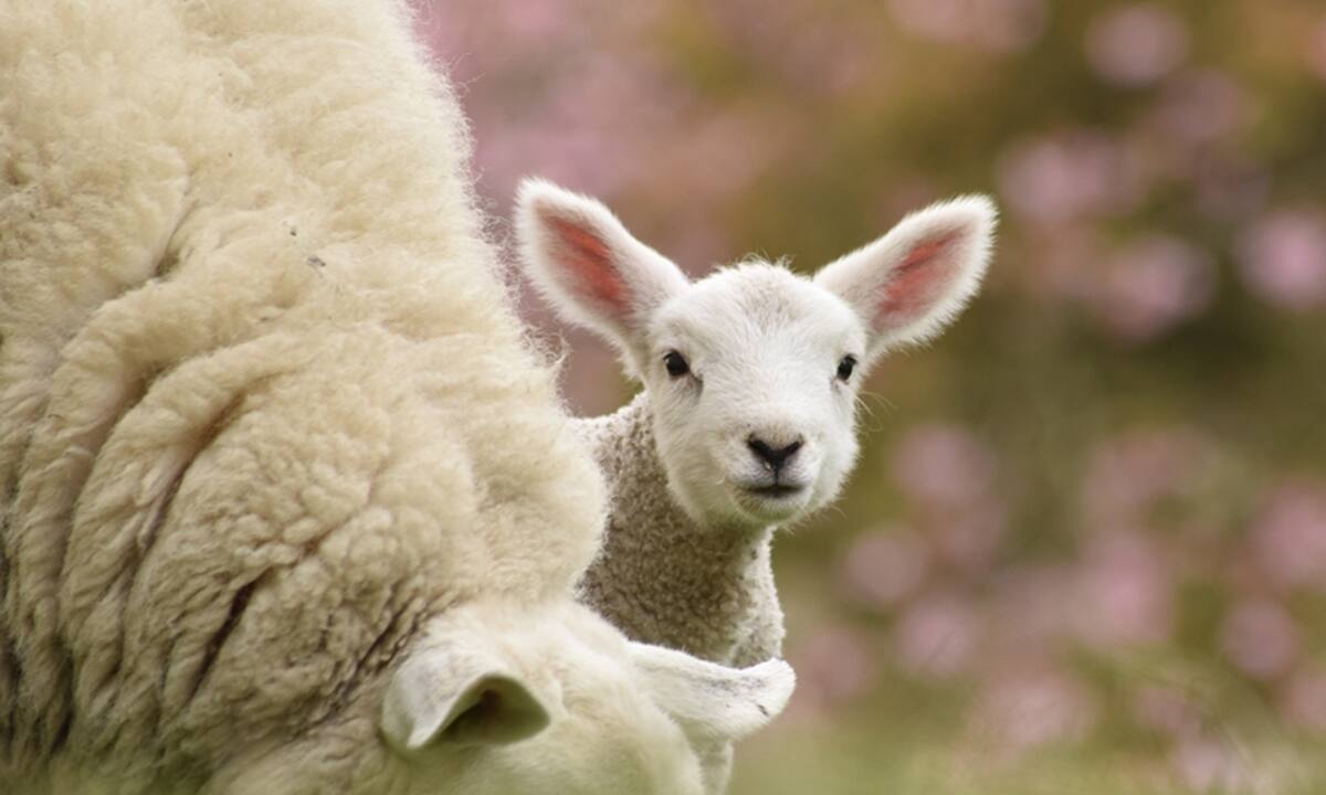 Διάβασε ΔΩΡΕΑΝ την προσωπική σου πρόβλεψη, για σήμερα 28/03/2022