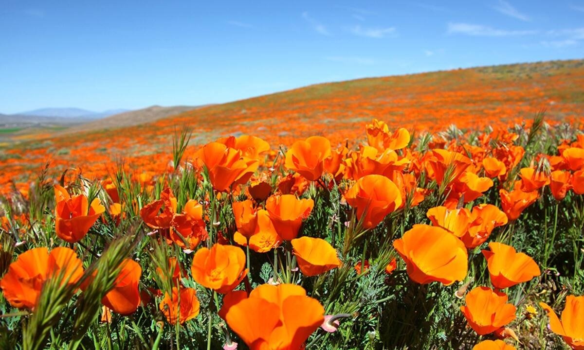 Διάβασε ΔΩΡΕΑΝ την προσωπική σου πρόβλεψη, για σήμερα 05/04/2022