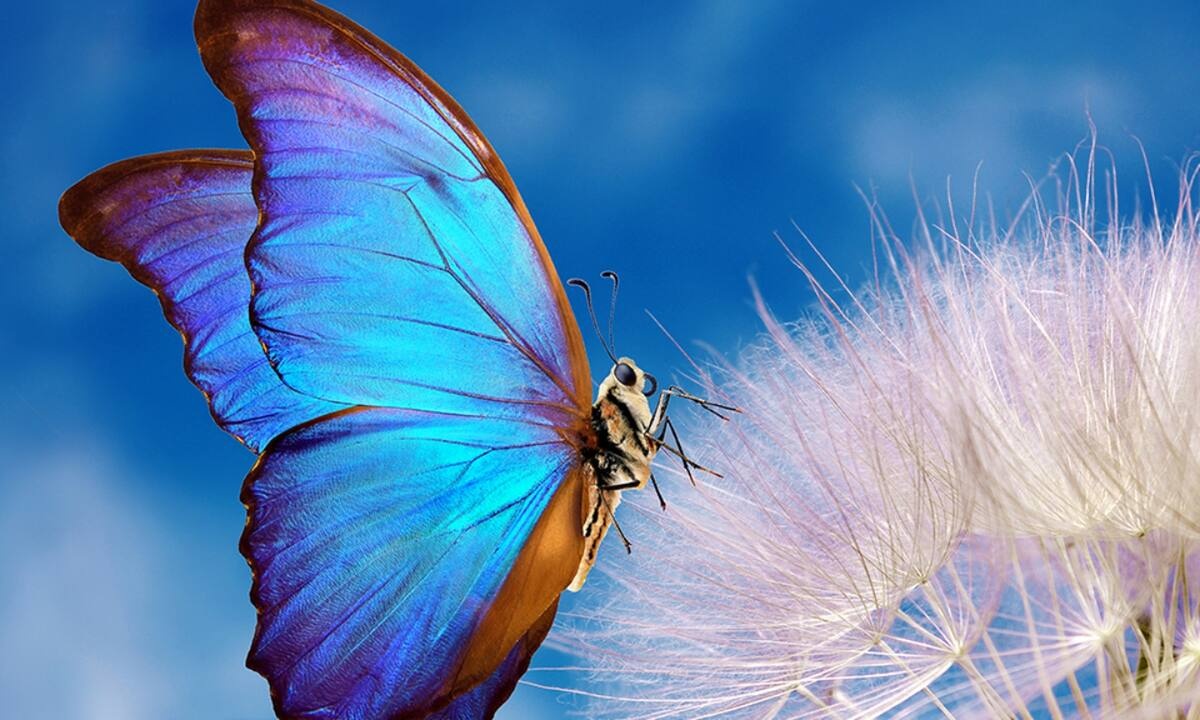 Διάβασε ΔΩΡΕΑΝ την προσωπική σου πρόβλεψη, για σήμερα 06/04/2022