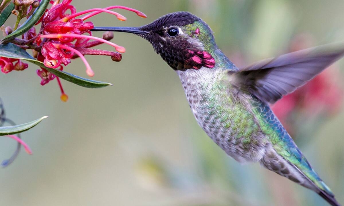 Διάβασε ΔΩΡΕΑΝ την προσωπική σου πρόβλεψη, για σήμερα 08/04/2022