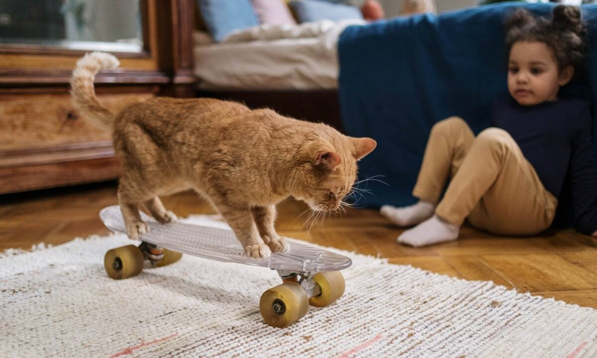 Μώρα και γάτες: Oι καλύτεροι φίλοι (vid)