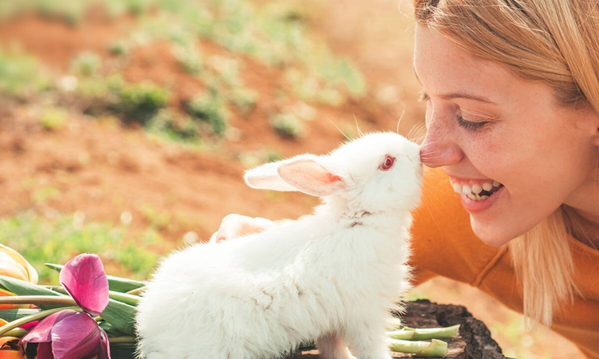 Ημερήσιες Προβλέψεις για όλα τα Ζώδια, 16/04