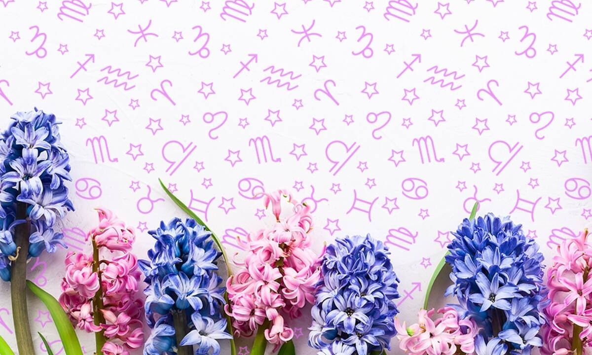 Εβδομαδιαίες προβλέψεις από 17/04 έως 23/04: Μία και έξω