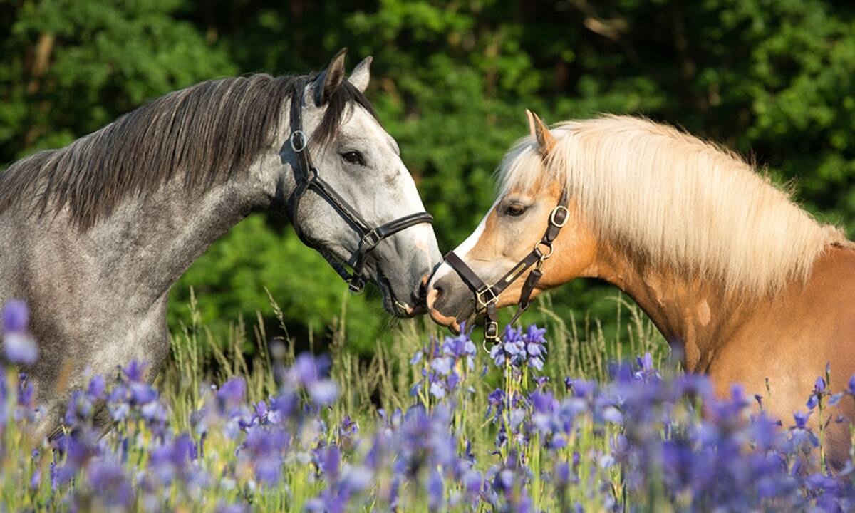 Διάβασε ΔΩΡΕΑΝ την προσωπική σου πρόβλεψη, για σήμερα 16/04/2022