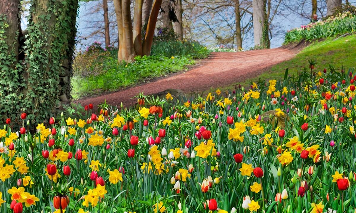 Διάβασε ΔΩΡΕΑΝ την προσωπική σου πρόβλεψη, για σήμερα 17/04/2022
