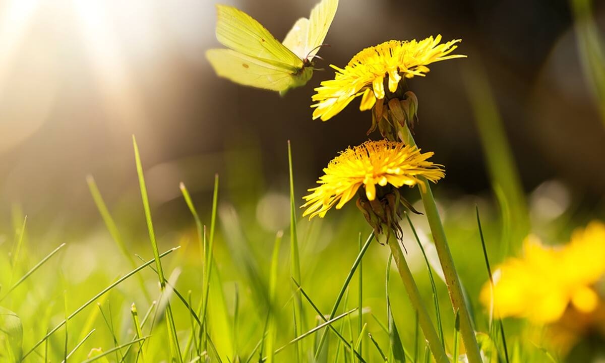 Διάβασε ΔΩΡΕΑΝ την προσωπική σου πρόβλεψη, για σήμερα 18/04/2022