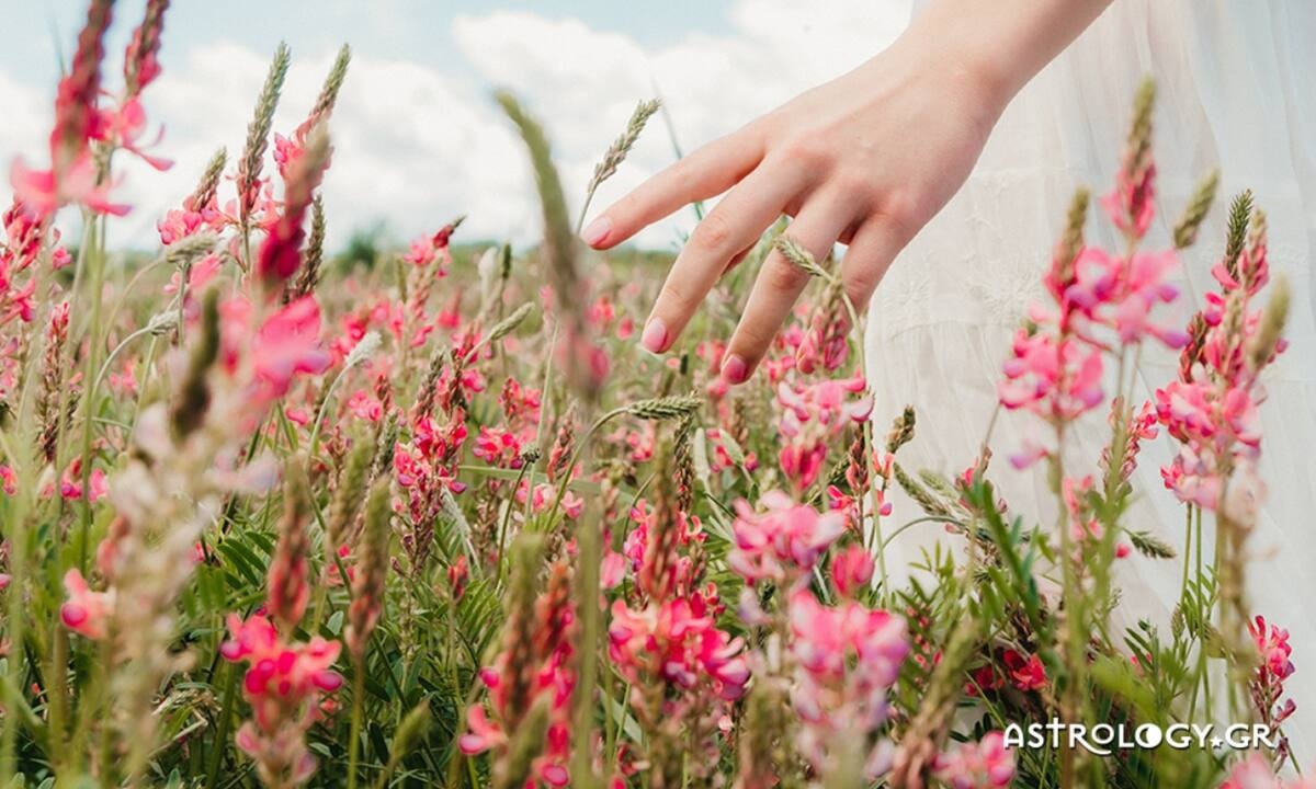 Ημερήσιες Προβλέψεις για όλα τα Ζώδια, 28/04
