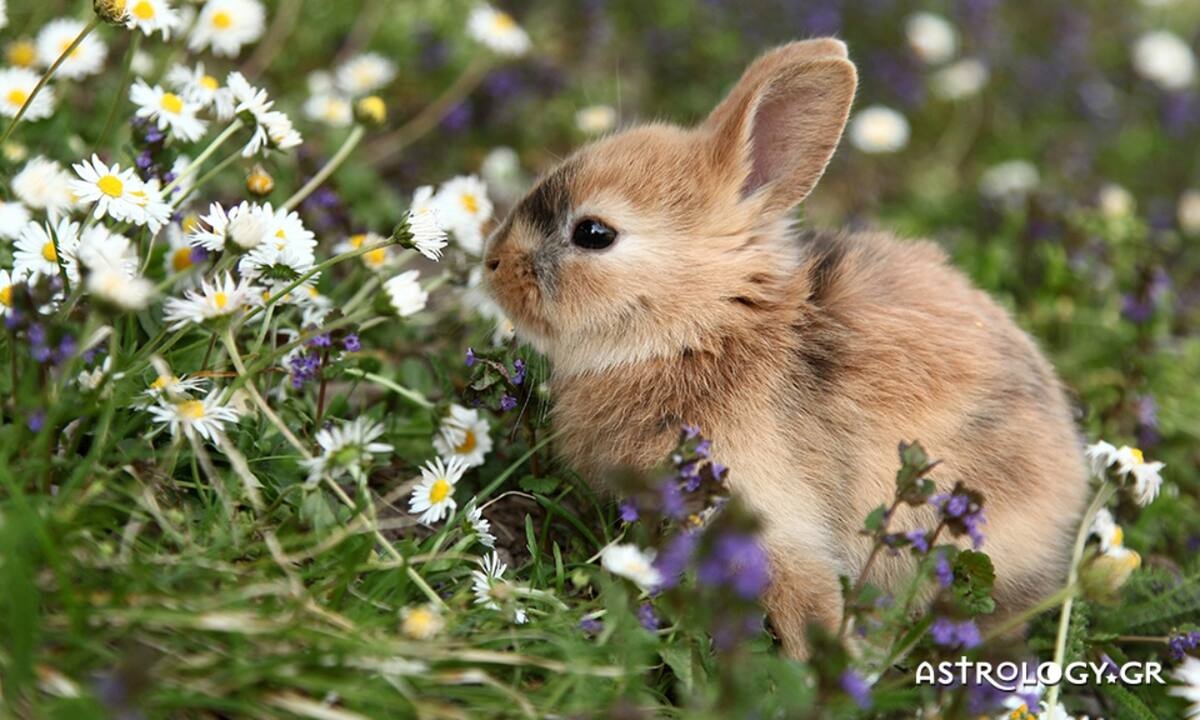 Διάβασε ΔΩΡΕΑΝ την προσωπική σου πρόβλεψη, για σήμερα 24/04/2022