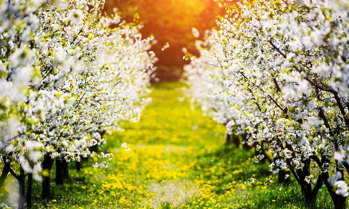 Διάβασε ΔΩΡΕΑΝ την προσωπική σου πρόβλεψη, για σήμερα 26/04/2022