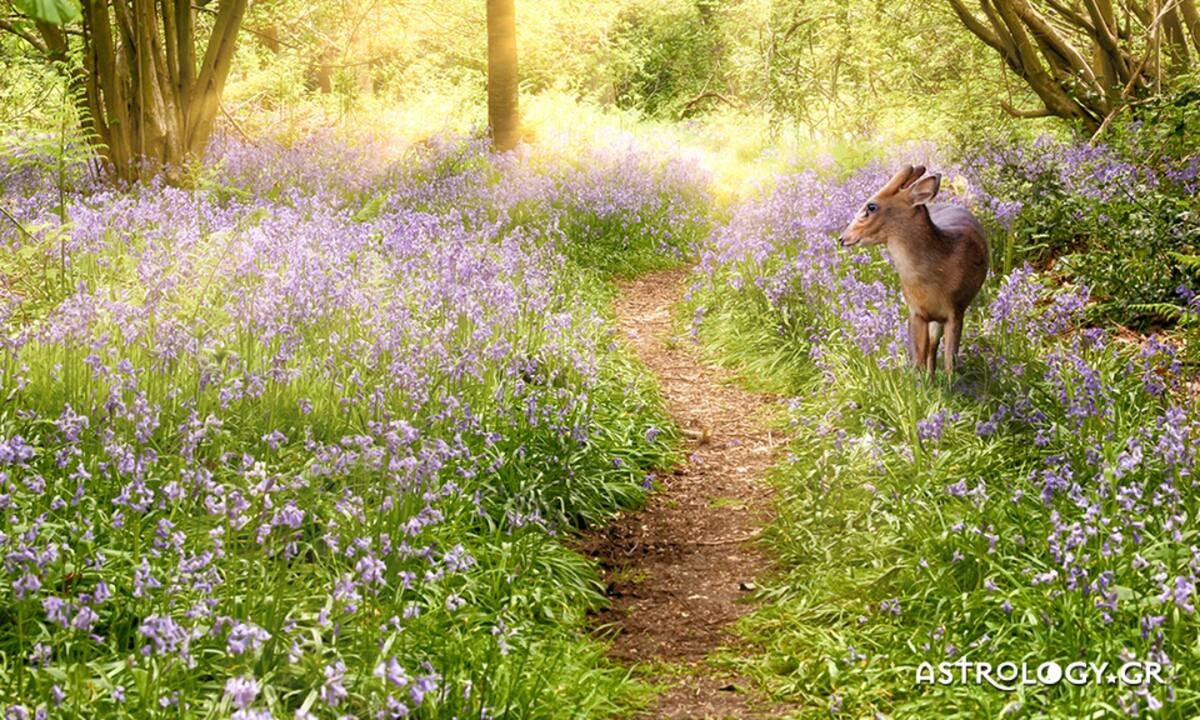 Διάβασε ΔΩΡΕΑΝ την προσωπική σου πρόβλεψη, για σήμερα 29/04/2022