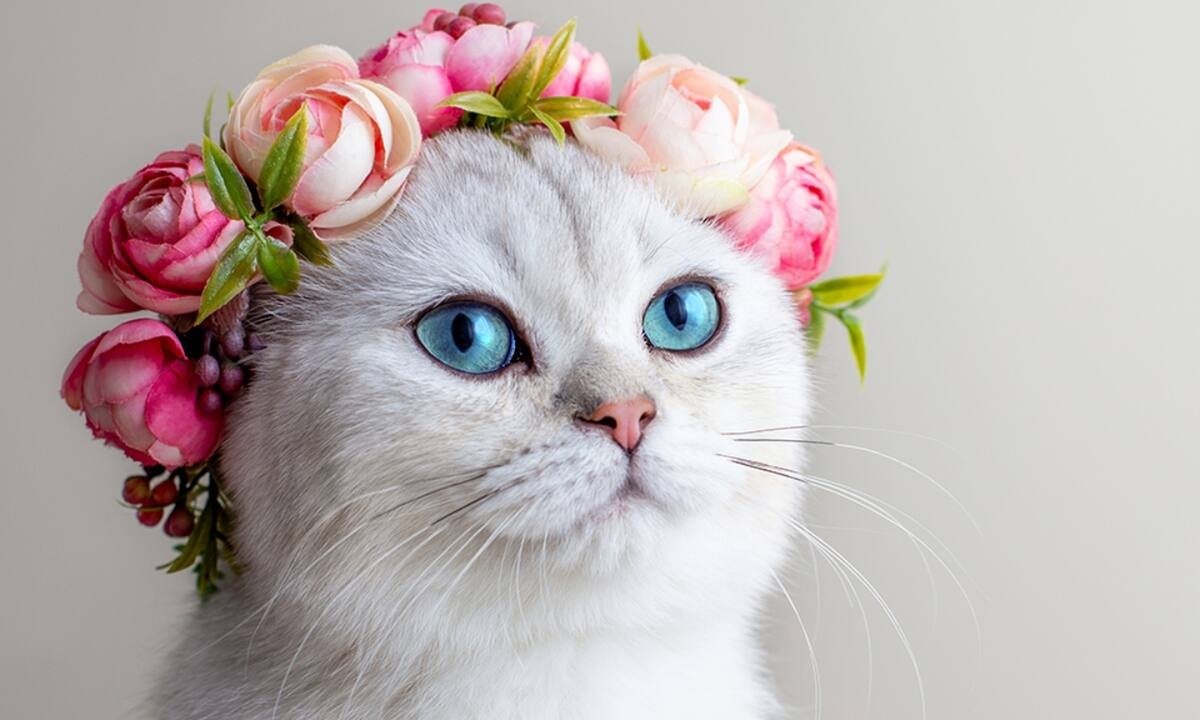 Διάβασε ΔΩΡΕΑΝ την προσωπική σου πρόβλεψη, για σήμερα 01/05/2022