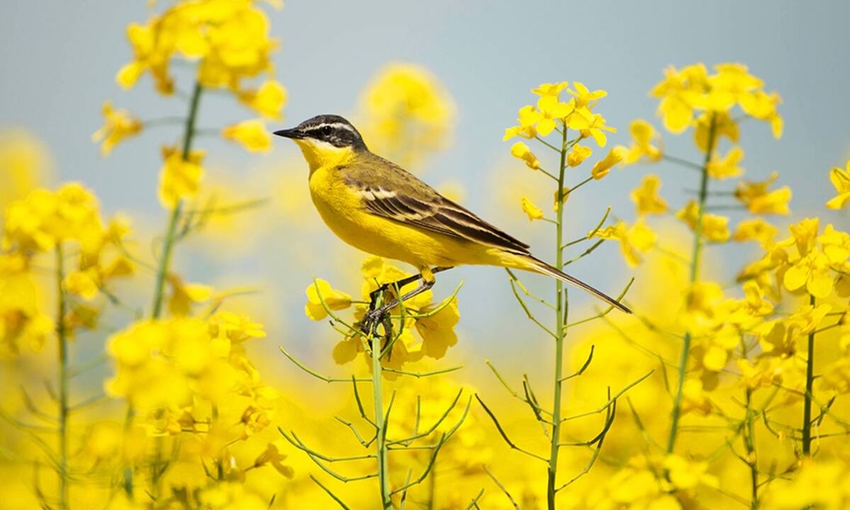 Διάβασε ΔΩΡΕΑΝ την προσωπική σου πρόβλεψη, για σήμερα 03/05/2022
