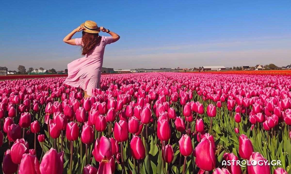 Ημερήσιες Προβλέψεις για όλα τα Ζώδια, 06/05