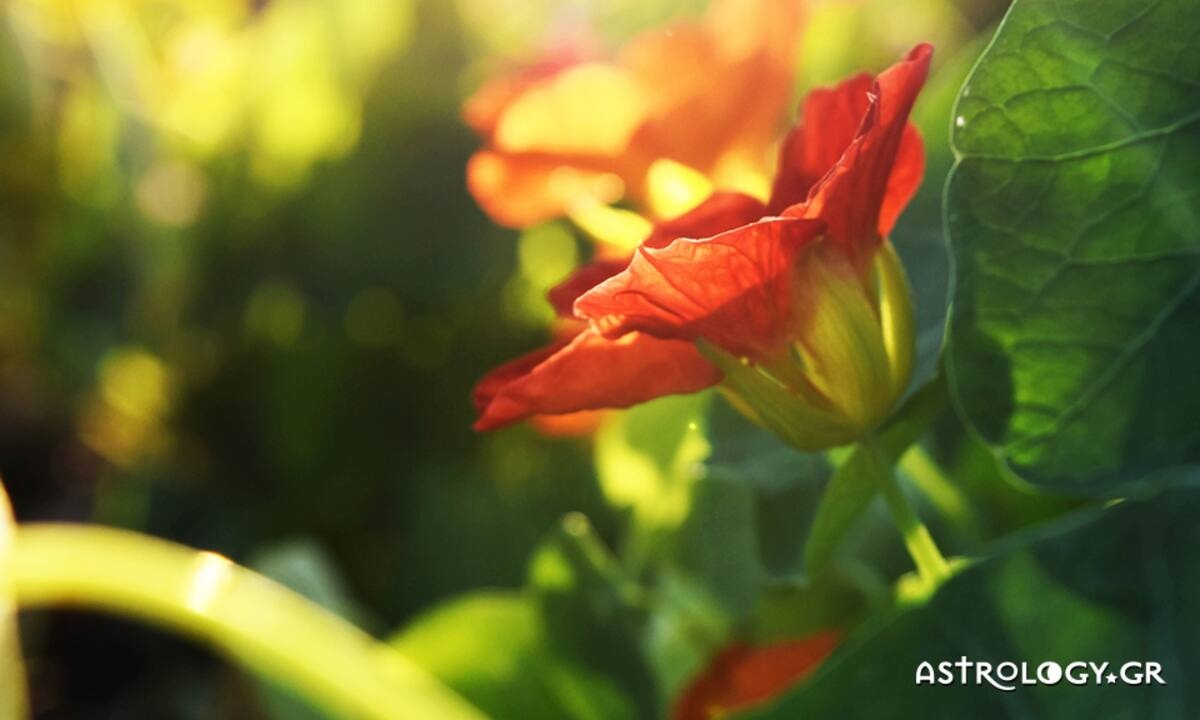 Διάβασε ΔΩΡΕΑΝ την προσωπική σου πρόβλεψη, για σήμερα 04/05/2022