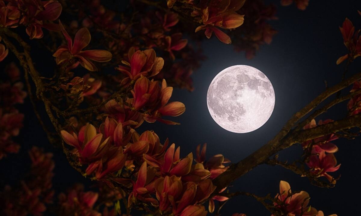 Πανσέληνος - Σεληνιακή Έκλειψη στον Σκορπιό: Αυτά τα ζώδια θα αντιμετωπίσουν εμπόδια και δυσκολίες