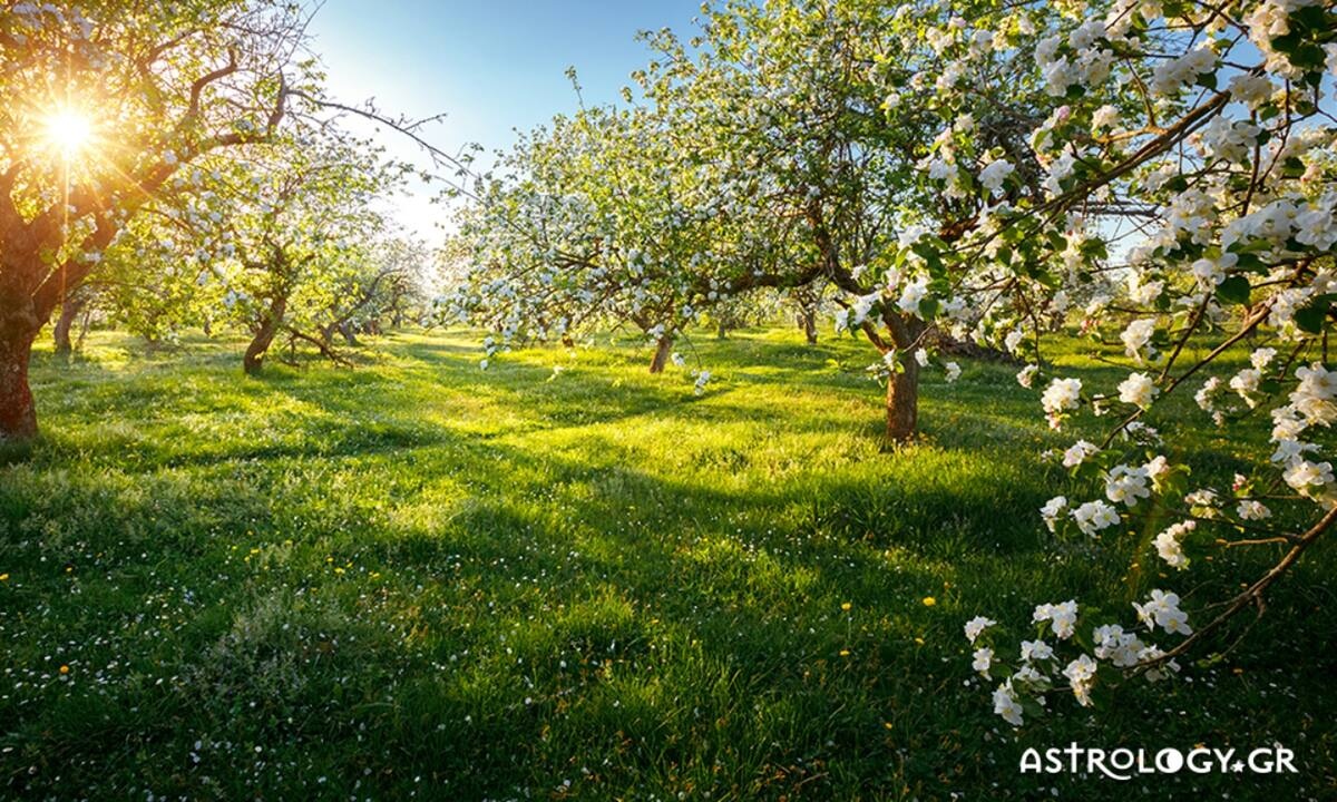Διάβασε ΔΩΡΕΑΝ την προσωπική σου πρόβλεψη, για σήμερα 06/05/2022