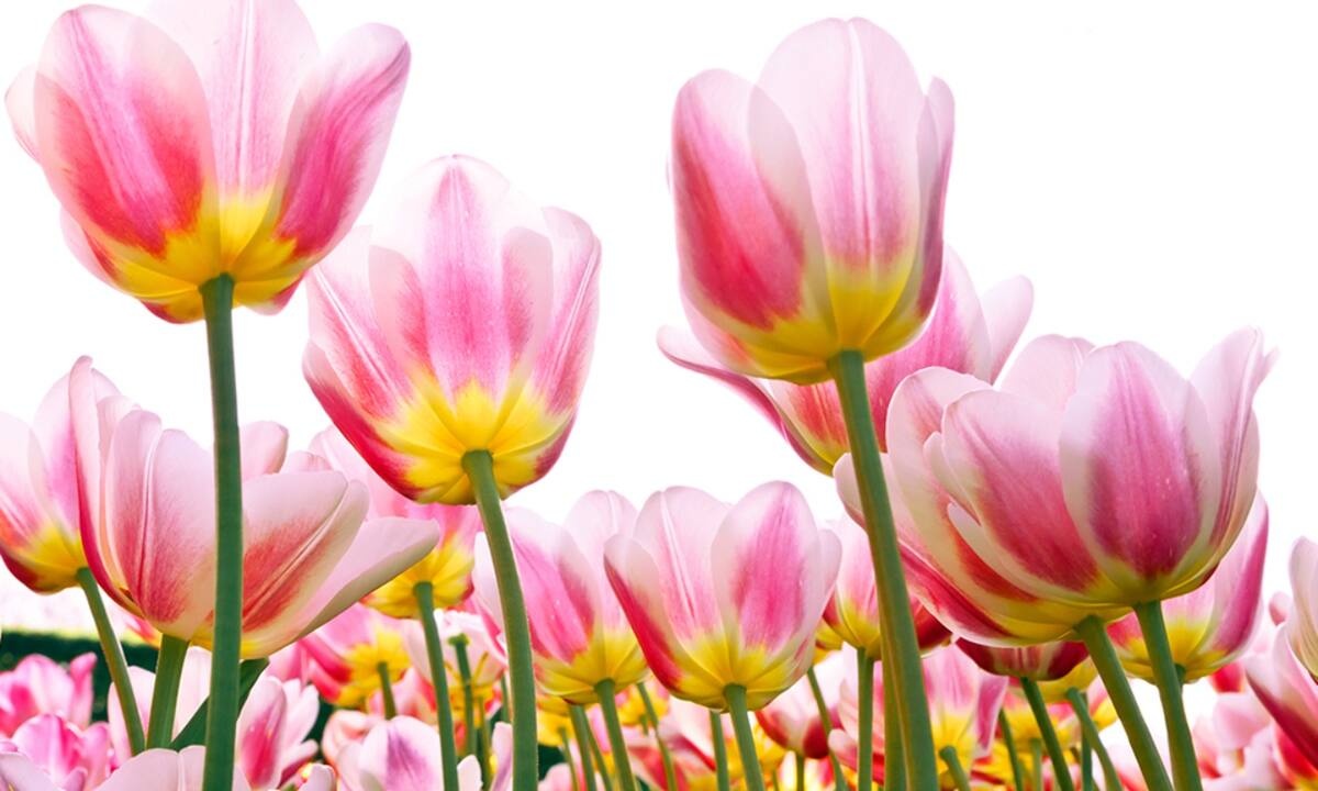 Διάβασε ΔΩΡΕΑΝ την προσωπική σου πρόβλεψη, για σήμερα 08/05/2022