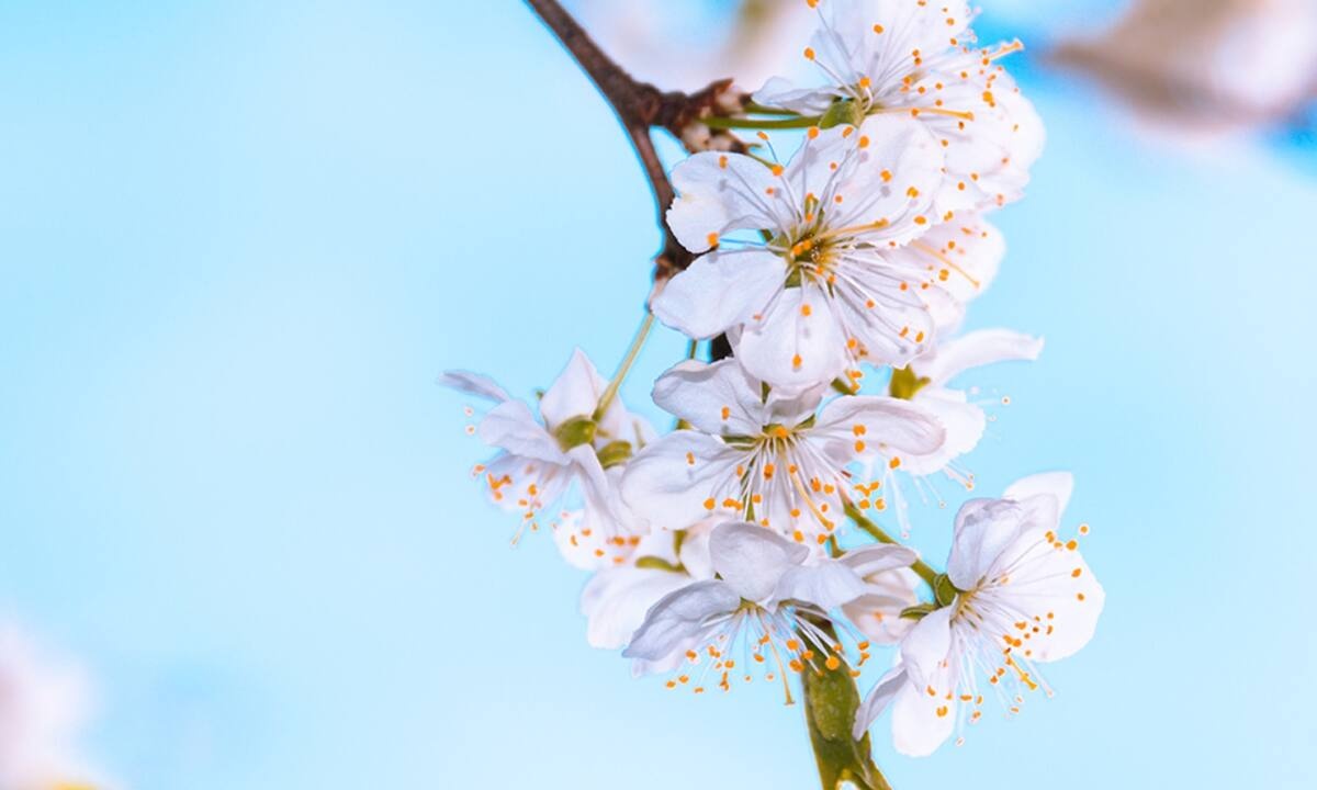 Διάβασε ΔΩΡΕΑΝ την προσωπική σου πρόβλεψη, για σήμερα 10/05/2022