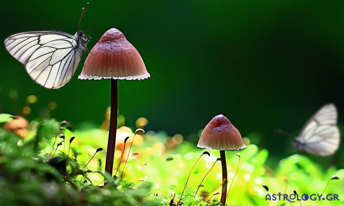 Διάβασε ΔΩΡΕΑΝ την προσωπική σου πρόβλεψη, για σήμερα 11/05/2022