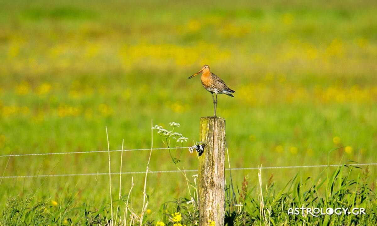 Διάβασε ΔΩΡΕΑΝ την προσωπική σου πρόβλεψη, για σήμερα 13/05/2022